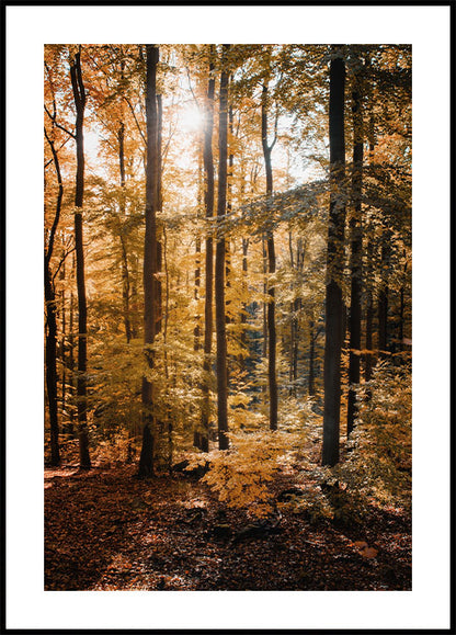 Forest Plakat