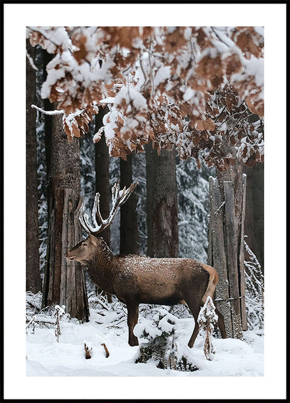 Deer in A Snowy Forest Plakat