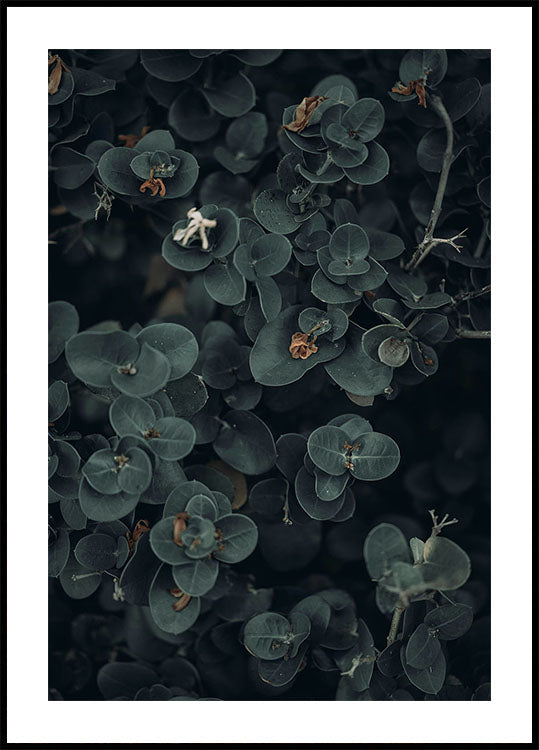 Dark And Green Botanical Plakat