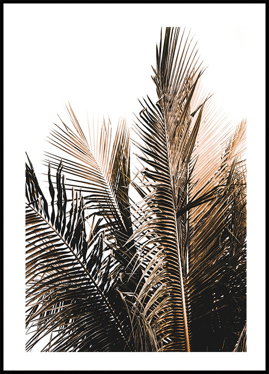 Palm Leaves No. 1 Plakat