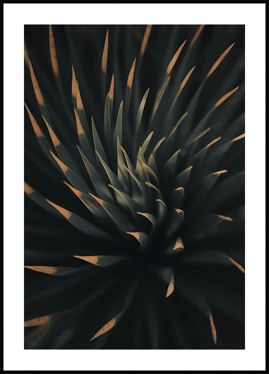 Spiral Plant Texture Plakat