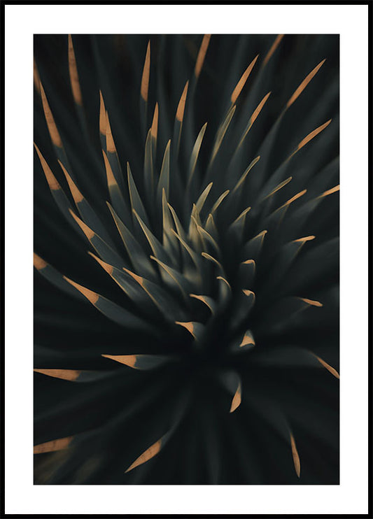 Spiral Plant Texture Plakat