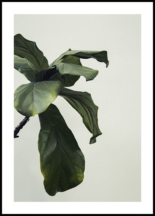 Botanical Leaves Plakat