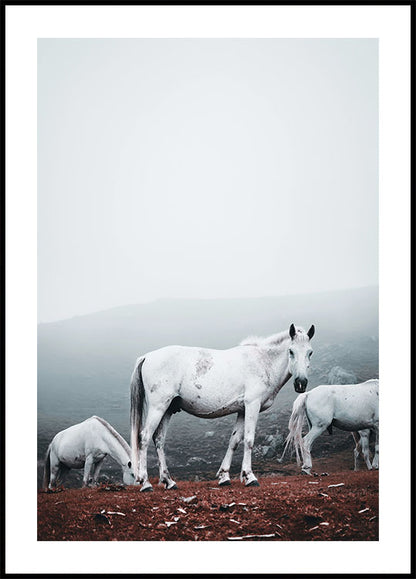 White Horses in The Fog Plakat