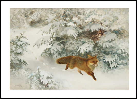 Fox in Winter Landscape By Bruno Liljefors No. 1 Plakat