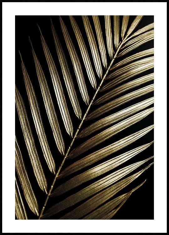 Golden Palm Leaf Plakat