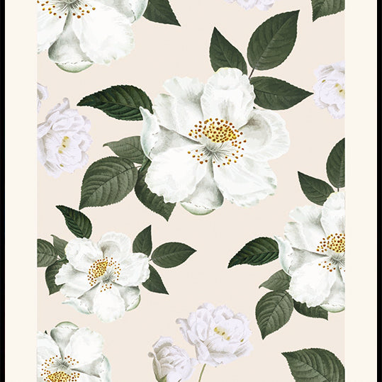 Camellia Flowers Plakat