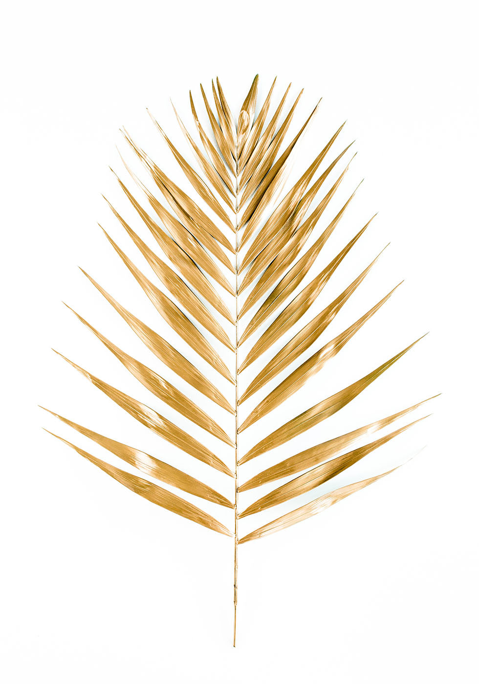 Golden Leaf Plakat