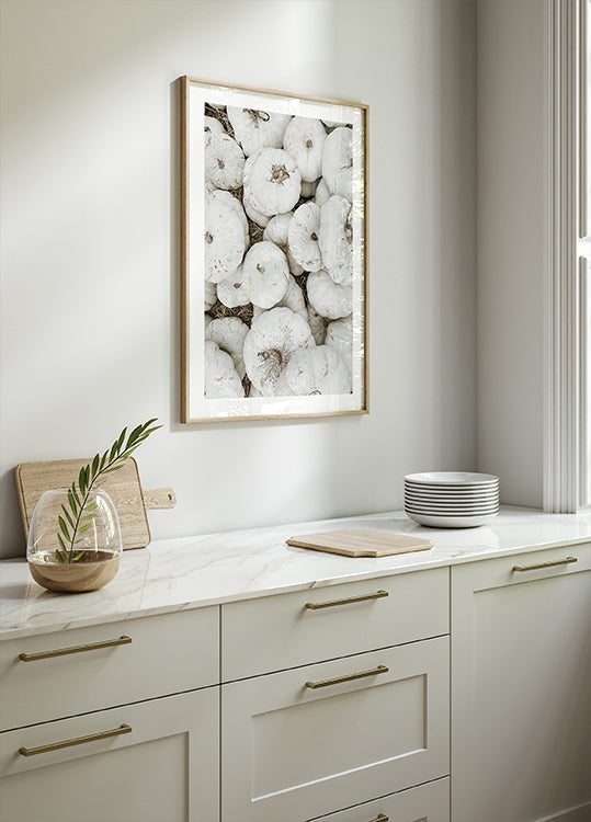 White Pumpkins Harvest Plakat