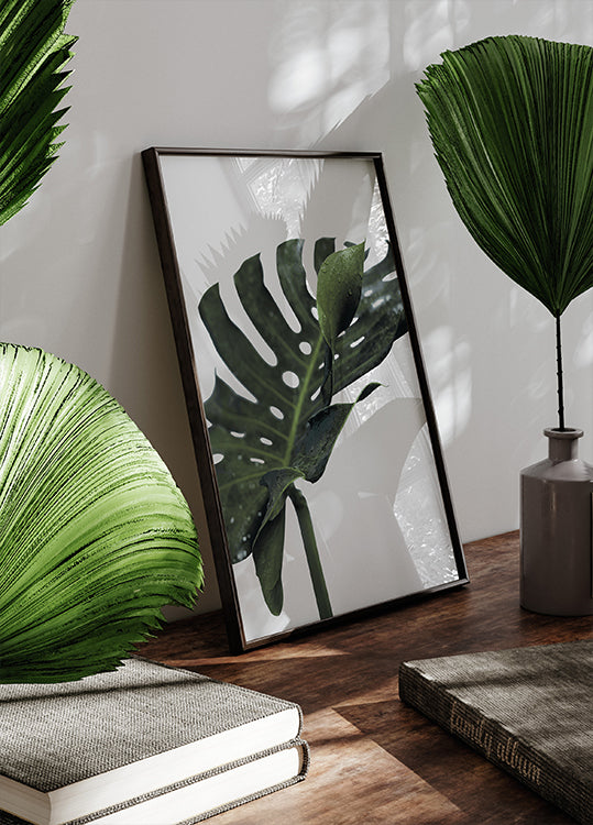 Monstera-plante №1 Plakat