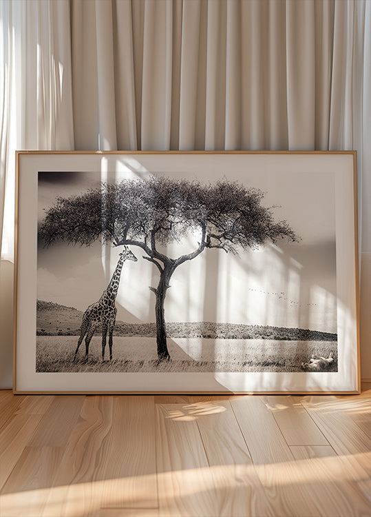 under the African sun