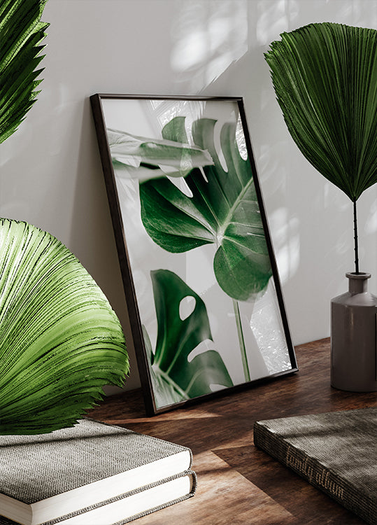 Monstera Leaves Plakat