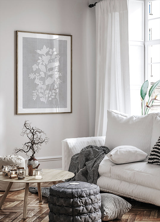 Botanical Illustration 2 Plakat