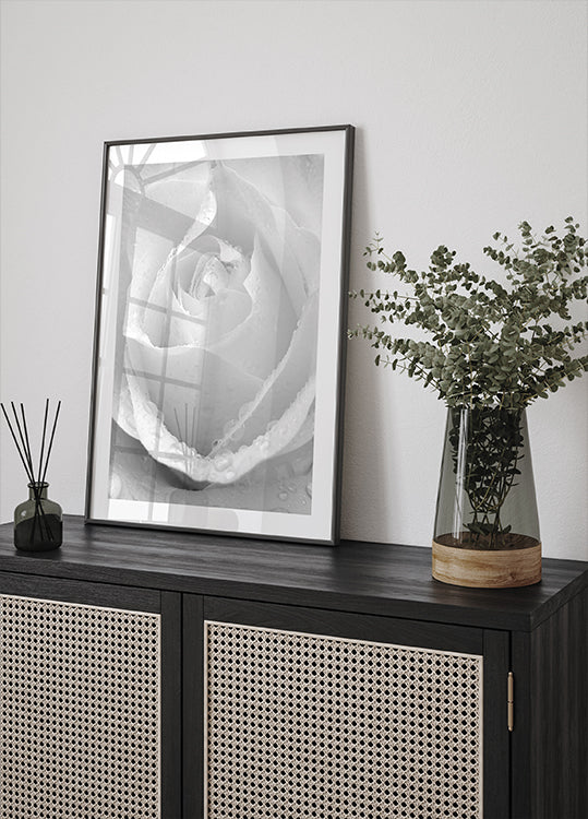 White Rose No.2 Plakat