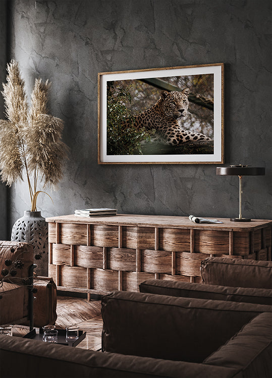 Majestic Leopard in the Wild Plakat