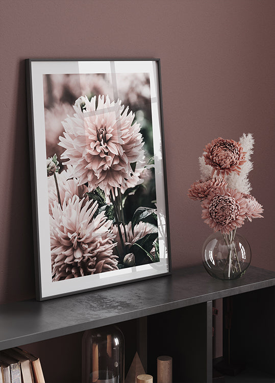 Soft Dahlia Bloom Plakat