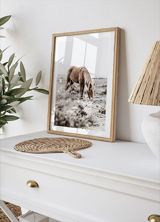 Wild Horse in Serene Landscape Nature Plakat