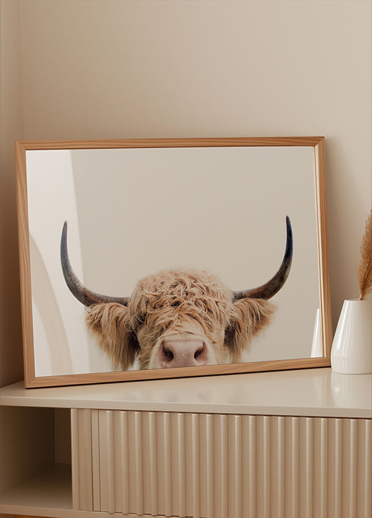 Peeking Cow Poster