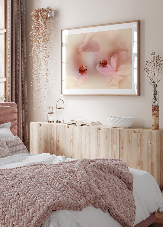 Ladybirds on pink hydrangea. Plakat