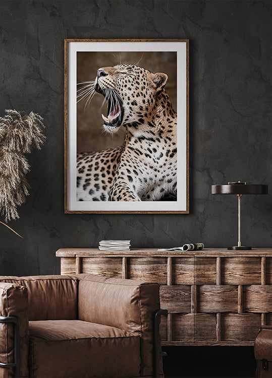 Roaring Leopard in Nature Plakat