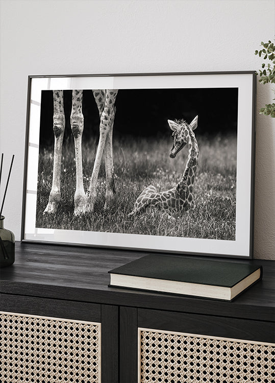 well protected Plakat