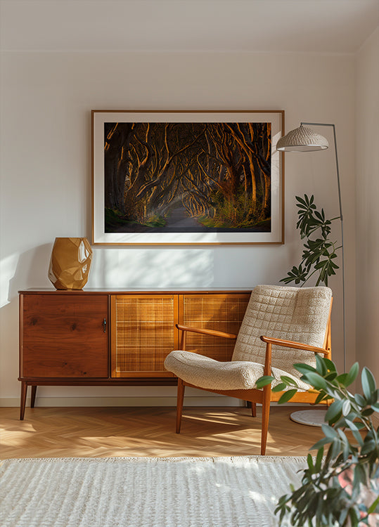 The Dark Hedges in the Morning Sunshine Plakat