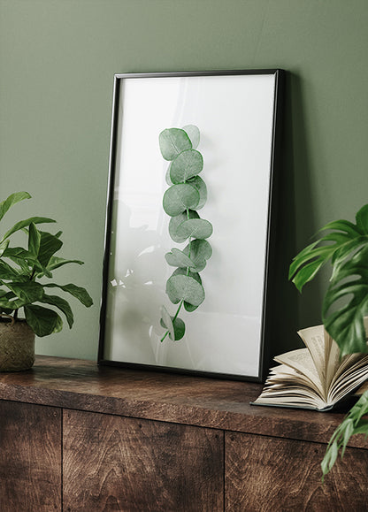 Eucalyptus Leaf Plakat