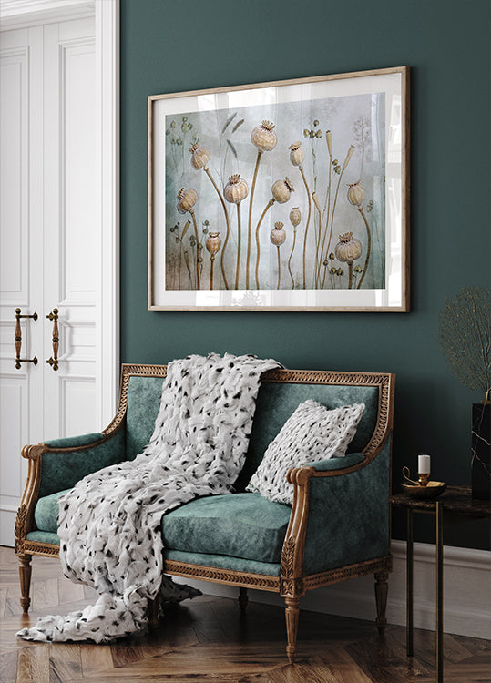 Papaver