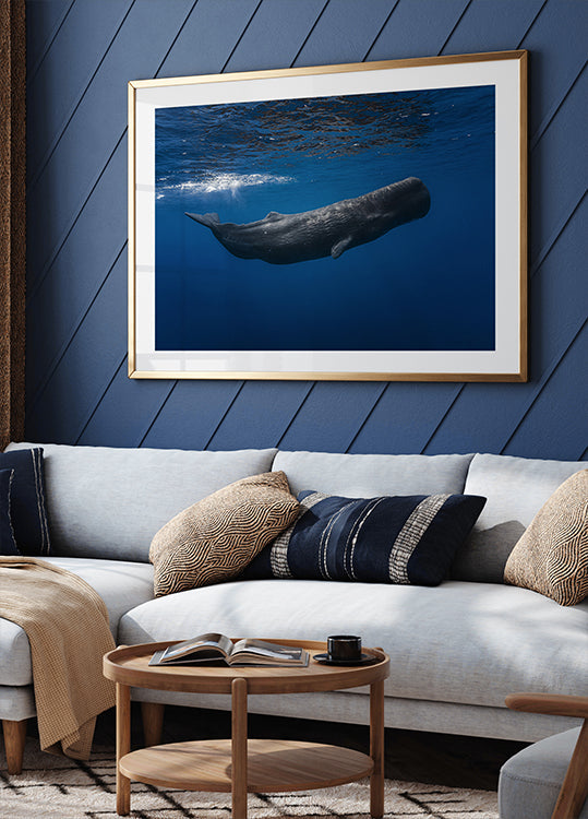 Sperm whale