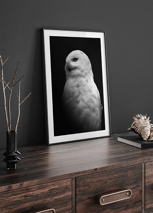 Snowy Owl in Black and White Plakat