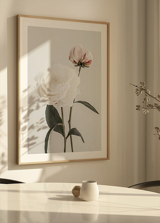 Peony 12 Plakat