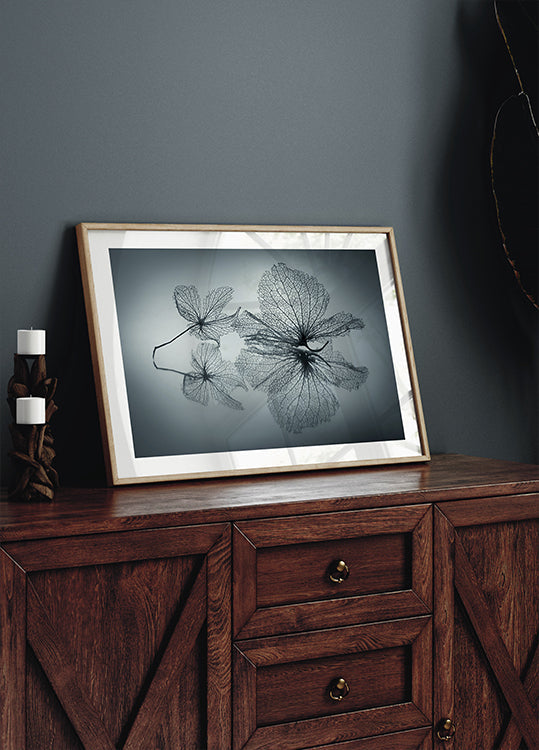 Ephemeral Beauty