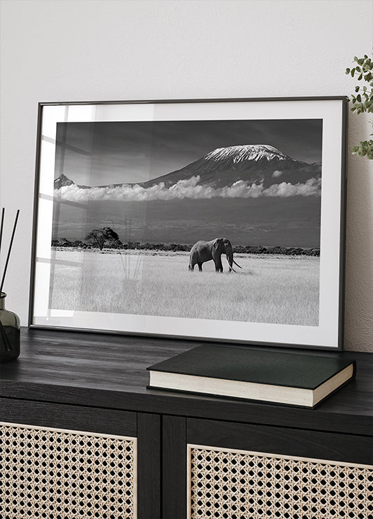 Lost Colors II Plakat