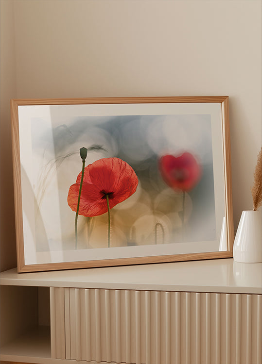 Morning Poppies Plakat