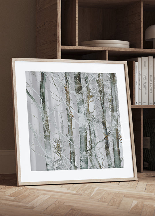 Silver branches Plakat