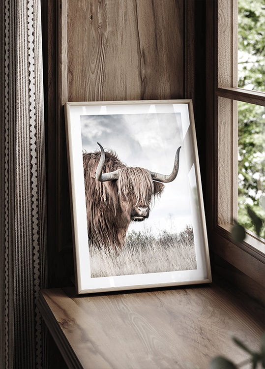 Winter Highland Cow Plakat