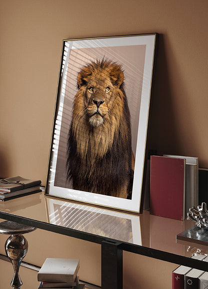 Majestic Lion Plakat