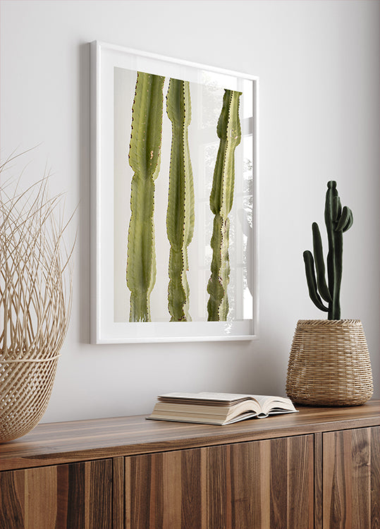 3 Cacti Plakat
