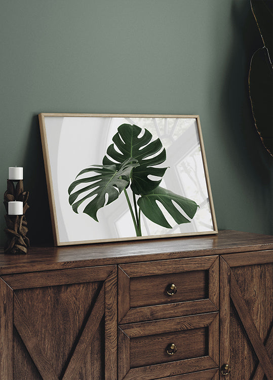 Monstera Plant №1 Plakat