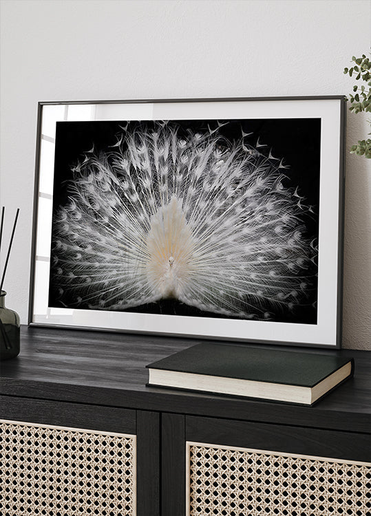 black and white, Plakat