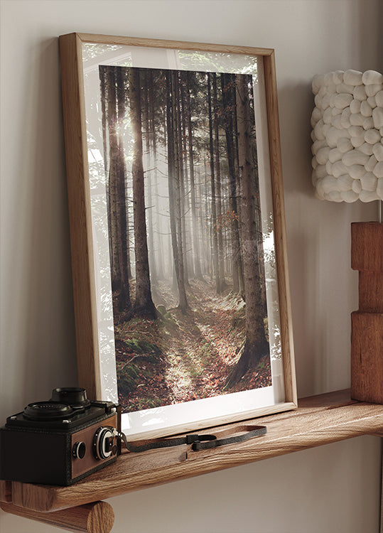 Sunbeam Forest Plakat