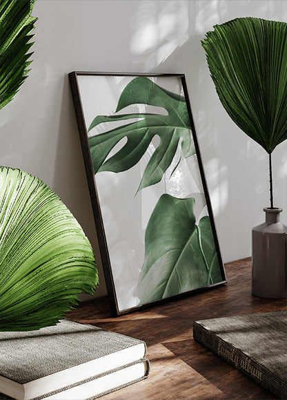 Monstera Plant Plakat