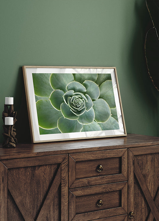 Succulent Spiral Plakat