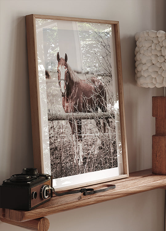 Rustic Brown Horse in Pastel Countryside Plakat