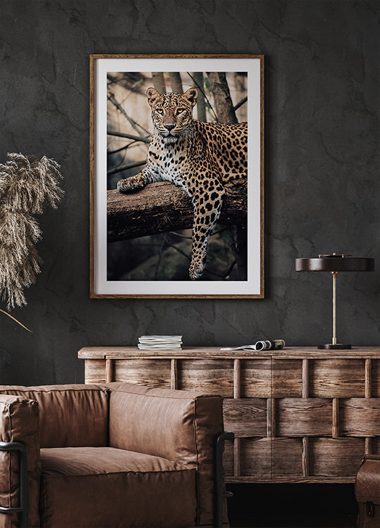 Majestic Leopard Resting on a Tree Plakat