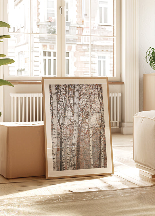 Birch Trees 6 Plakat