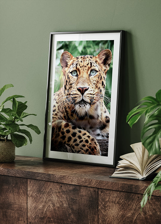 Leopard Close-Up Poster