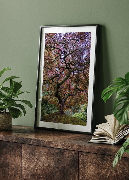 Japanese Maple Tree Plakat