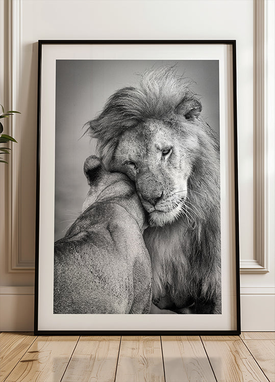 African Love! Plakat