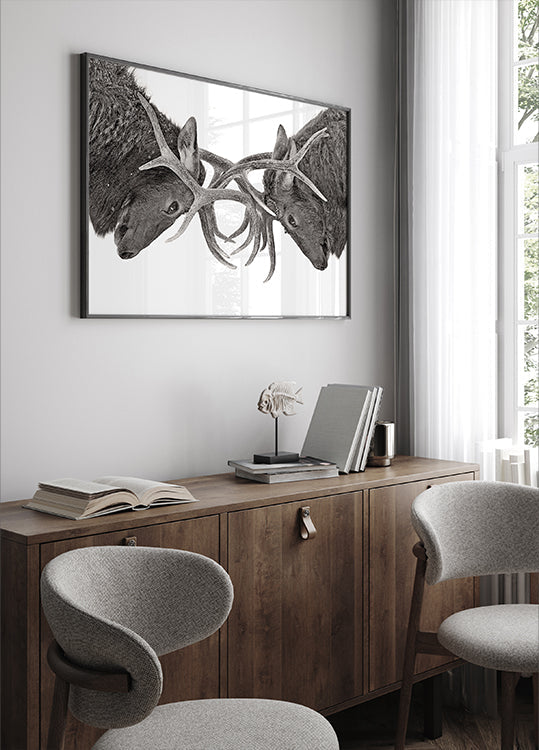 Eye to Eye - Elk fight Plakat
